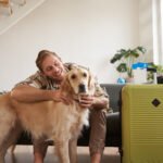 Pet-Friendly Luxury Hotels for Traveling with Your Furry Friends